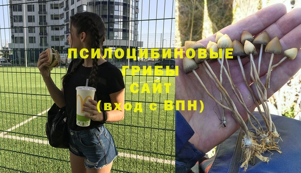 дживик Аркадак