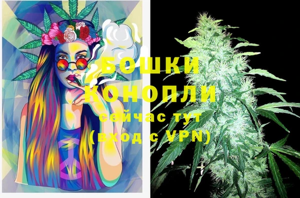дживик Аркадак