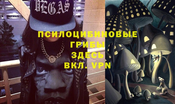 дживик Аркадак